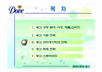 [광고기획서] 도브 광고기획서-20