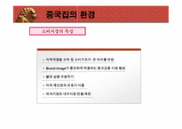 [국제광고] 세계광고시장 중국분석-8