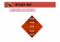 [국제광고] 세계광고시장 중국분석-9