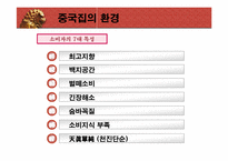[국제광고] 세계광고시장 중국분석-10