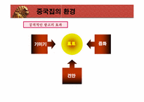[국제광고] 세계광고시장 중국분석-15