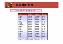 [국제광고] 세계광고시장 중국분석-18