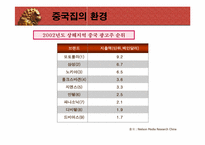 [국제광고] 세계광고시장 중국분석-20