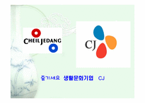 [광고전략] 농심햅쌀밥 매체전략-3