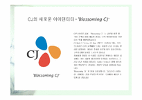 [광고전략] 농심햅쌀밥 매체전략-4