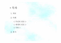 [언론학] 언론플레이로 인한 가려진 진실의 사례와 폐해-2