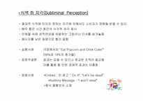 [광고론] 소비자정보처리과정-16