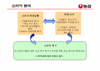 [광고계획서] 농심 `햅쌀밥`의 광고분석-3
