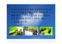 [영상문화] 영화의 특수효과-19