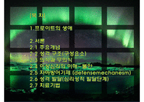 프로이트의 정신분석적 치료-2