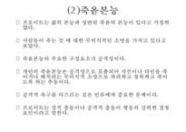 프로이트의 정신분석적 치료-11