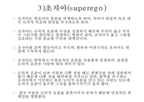 프로이트의 정신분석적 치료-18