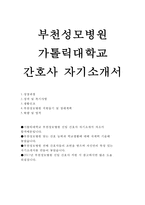 부천성모병원자소서/부천성모병원자기소개서/가톨릭대학교 부천성모병원 간호사 자기소개서 부천성모병원 합격자소서 예문, 가톨릭 국제성모병원 부천성모병원-1