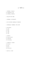 대한항공 기업분석/대한항공 경영전략,서비스전략/ 대한항공 다양한 마케팅전략 사례와 느낀점-2