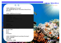 해양 자연주의 신규 화장품 XX브랜드 런칭 계획서-2
