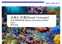 해양 자연주의 신규 화장품 XX브랜드 런칭 계획서-3