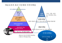 마케팅전략 성공사례 & 심층 고객조사로 마케팅에 성공한 사례-7