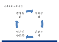 축구스타와 구단 매니지먼트 전략 - 레알 마드리드 , 보카 주니어스, 맨체스터유나이티드--13