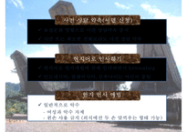 인도네시아 비즈니스 에티켓 [복장문화적특성인사예절협상유의사항문화적 금기사항]-14
