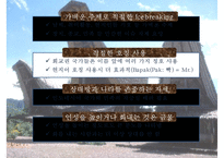 인도네시아 비즈니스 에티켓 [복장문화적특성인사예절협상유의사항문화적 금기사항]-16