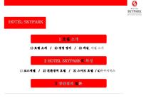 스카이파크 호텔토종 호텔체인으로 우뚝서다[HOTEL SKYPARK]-2