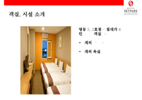스카이파크 호텔토종 호텔체인으로 우뚝서다[HOTEL SKYPARK]-11
