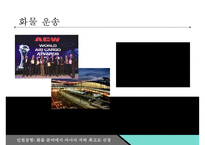 인천공항 혁신 전략[서비스 차별화, 기술혁신(IT)]-17