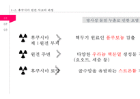 일본 후쿠시마 원전 사고의 과정과 주요국의 원전 발전 계획에 미친 영향-7