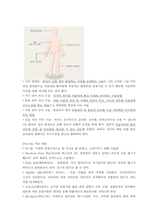 화상 레포트-4