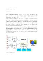 [RFID 개념과 기업사례연구] RFID 개념과 적용사례연구및 대기업들의 RFID 도입사례연구및 RFID 문제점과 개선방안,활성화방안-6