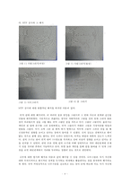 심리검사의 해석사례-6