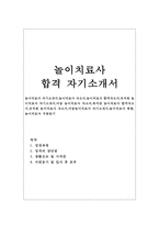 놀이치료사자소서 놀이치료사자기소개서합격*아동놀이치료사 자소서 어린이집놀이치료사자기·소개서놀이치료사자기소개서샘플, 놀이치료사지원동기,합격자소서-1