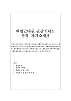 여행가이드자소서 여행안내원자기소개서 샘플합격/여행가이드자기소개서 관광가이드 자소서, 국내여행가이드 자기소개서, 관광통역안내사 자소서,지원동기-1