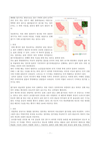 간호,case study,성인(응급실),충수염(appendicitis)-5