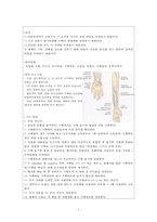 간호,성인(신경계), 임상 실습 일지-5