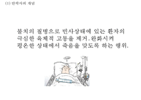 [안락사 찬반논쟁과 사례연구 PPT] 안락사 정의,유형및 안락사 찬반논쟁분석과 국가별사례연구및 나의견해 PPT-4