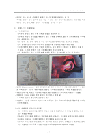 아동투약, 아동투약준비, 경구투여, 근육주사, 피하주사, 피내주사, 정맥주사, 비위관투약, 직장내투약, 아동가족교육, 아동가정간호-10