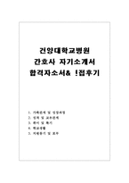 건양대병원 간호사자기소개서 간호사 자기소개서-건양대학교병원 자기소개서간호사자소서+면접후기/간호사 자기소개서 간호사자기소개서-간호사자기소개서샘플-1