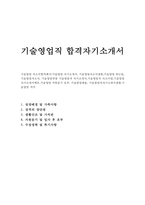 기술영업자소서 기술영업자기소개서 기술영업 합격자소서 기술직 자기소개서기술영업자소서 기술영업연봉 기술영업직 자기소개서기술영업직지원동기 자소서-1