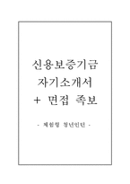 신용보증기금자기소개서+면접자료,신용보증기금자소서+면접질문기출,신용보증금(체험형 청년인턴)자기소개서자소서+면접족보-1