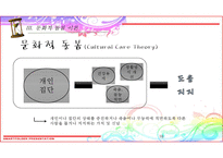 간호 이론가 레닝거-16