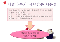 간호 이론가 페플라우1-11