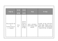 칸디다성 질염 간호과정-15