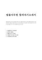 법률사무원 자기소개서 법무사사무실 자소서 합격샘플-1