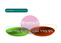 [스포츠마케팅 개념과 기업사례연구 PPT] 스포츠마케팅 정의,효과,필요성,장단점분석과 스포츠마케팅 기업 성공사례분석과 미래전망연구 PPT-17