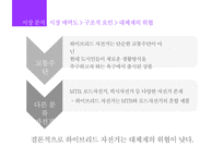 삼천리 하이브리드 자전거 METRO 마케팅 전략-9