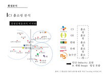 CJ오쇼핑의 혁신적인 소매유통전략 & CJ계열사의 비즈니스 연계를 통한 시너지향상-5
