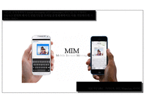 Line의 해외진출 마케팅전략-4