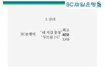 SC 제일은행 [StandardChartered BANK]의 이미지 구축을 위한 커뮤니케이션 기획서-20