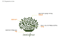 [이니스프리 마케팅사례 PPT] 이니스프리 브랜드분석,마케팅 4P,STP,SWOT분석,이니스프리 향후방향제시-11